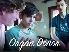 Organ donor kyle connors,hoss kado,levi rhodes